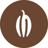 Cocoa trading instrument